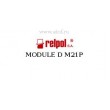 MODULE D M21P